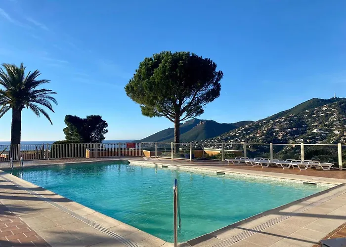 Vue Mer Et Jardin