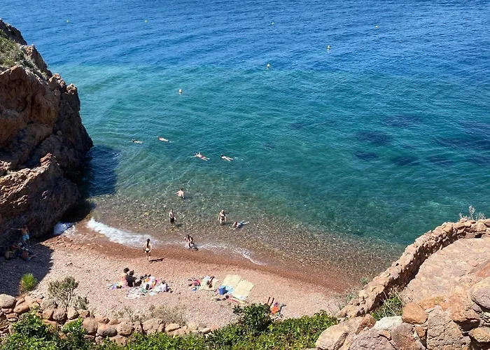 Vue Mer Et Jardin