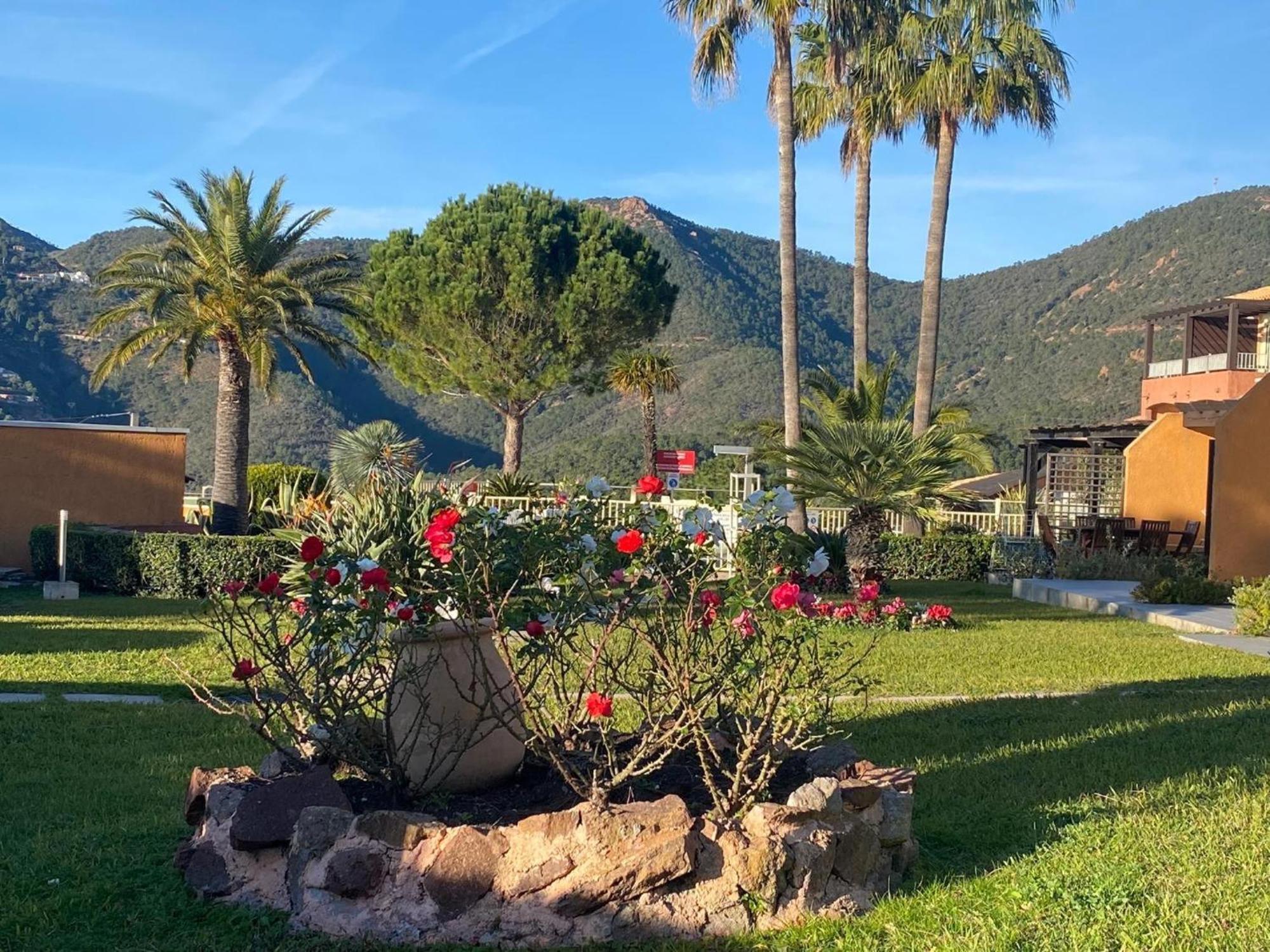 Vue Et Jardin Apartment Theoule-sur-Mer